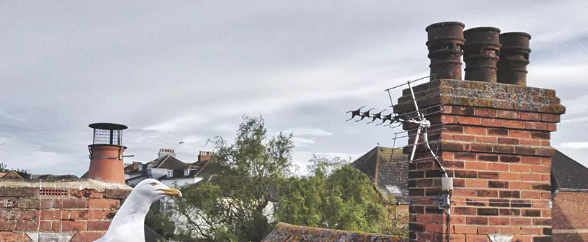Chimney Cleaning And Restoration in Goodlettsville, Tennessee